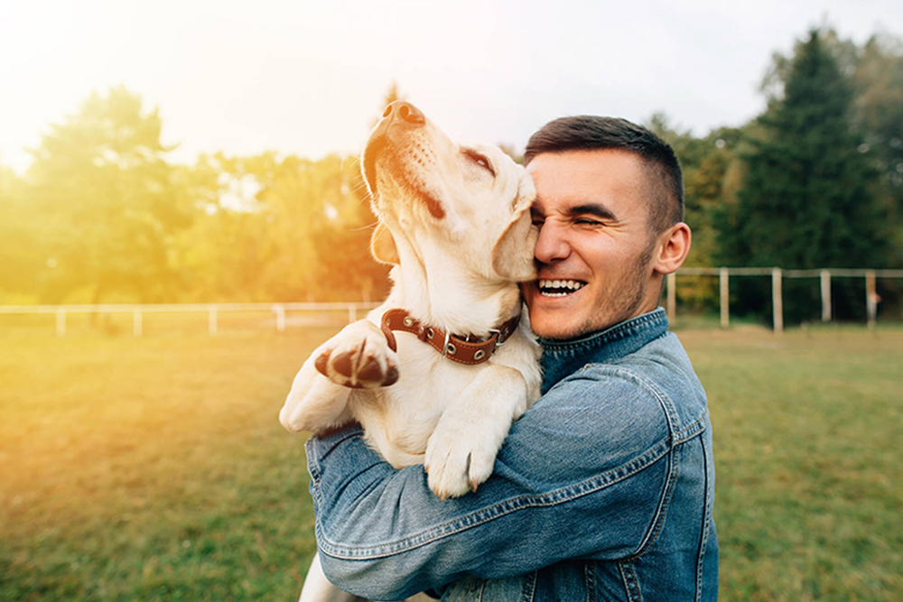 Pawsitively Happy: The Mental and Emotional Benefits of Having a Pet Dog